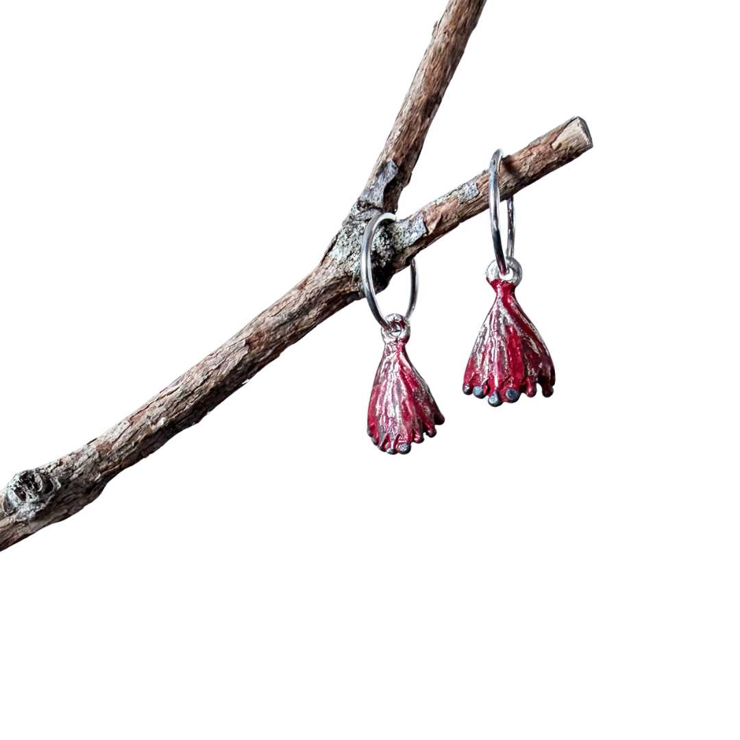 Pair of HerbertandWilks sterling silver Pohutukawa charm sleeper earrings suspended from a natural branch against a clean white background.