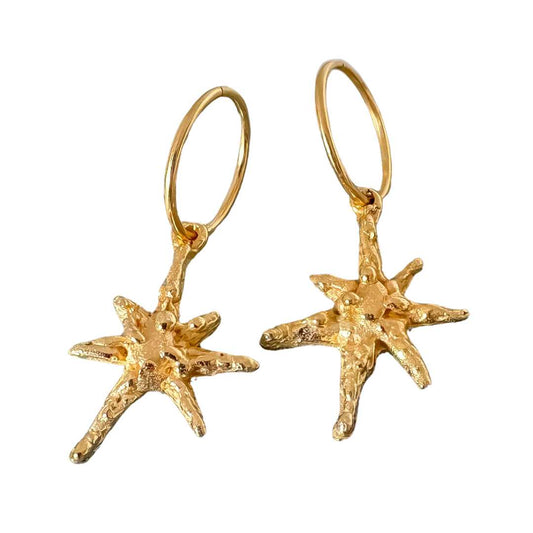 Faerie Star Charm Earrings - HerbertandWilks Jewellery