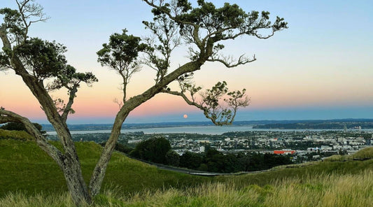 Mt Eden summit sunrise view over Auckland harbour for Valentine's weekend