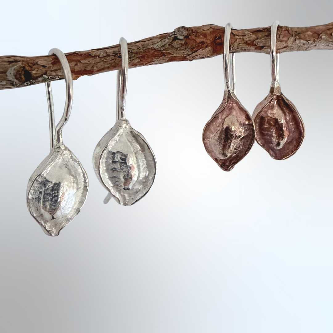 Sterling silver and bronze kōwhai pod drop earrings hanging from a branch, front-facing to show natural form and contrasting metal tones against a blue-grey background