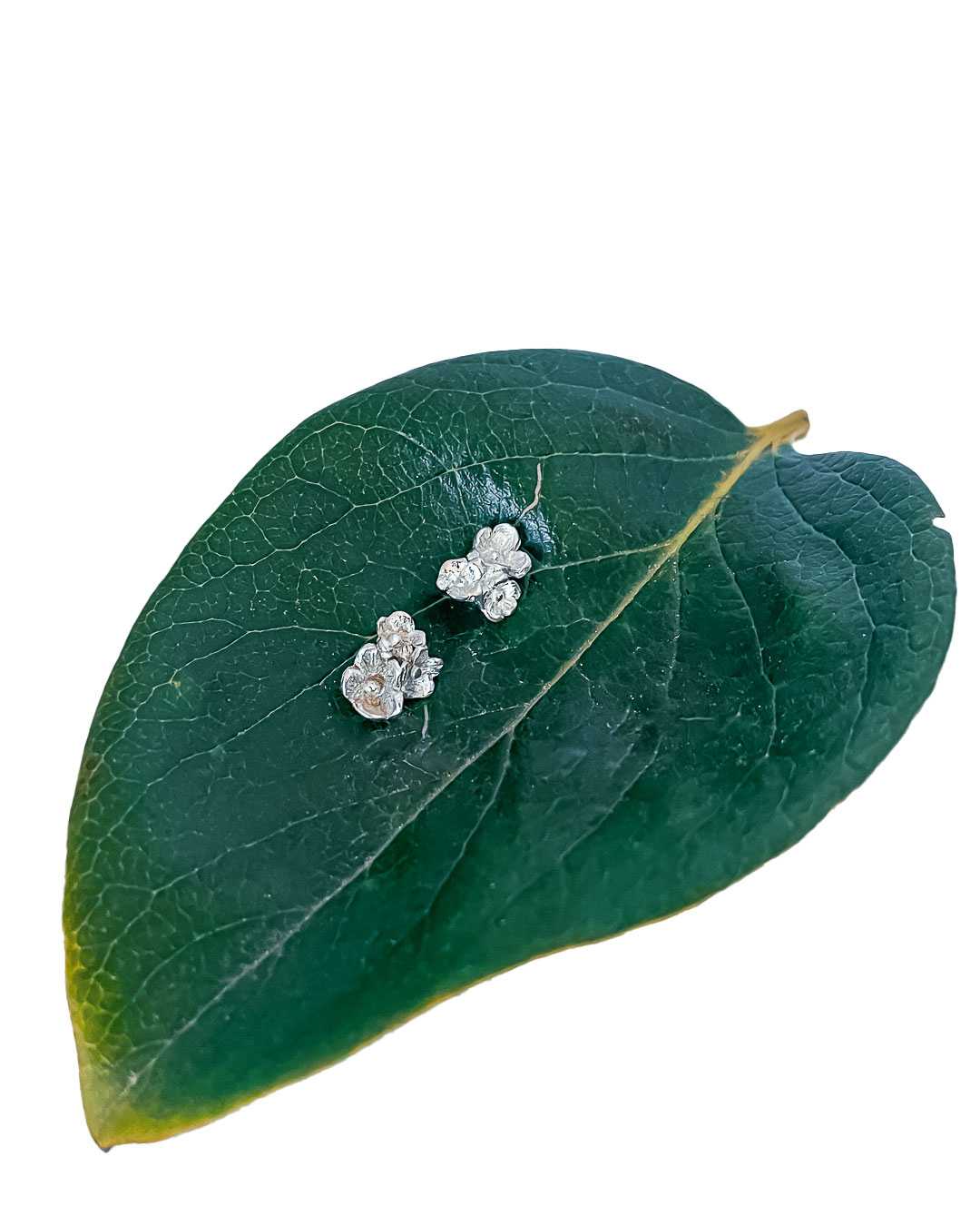 A pair of Sterling Silver Flower bouquet Stud Earrings  shown against a Pomegranite Leaf