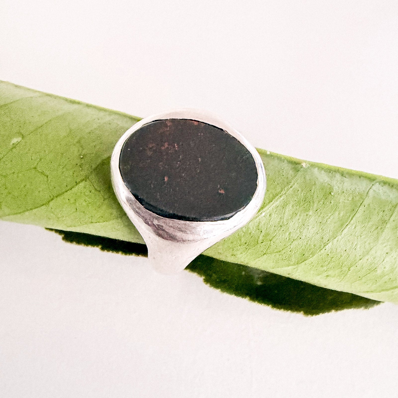 Men’s bloodstone signet ring in sterling silver, size T, with deep-green stone and subtle red flecks, supported by a rolled green leaf.