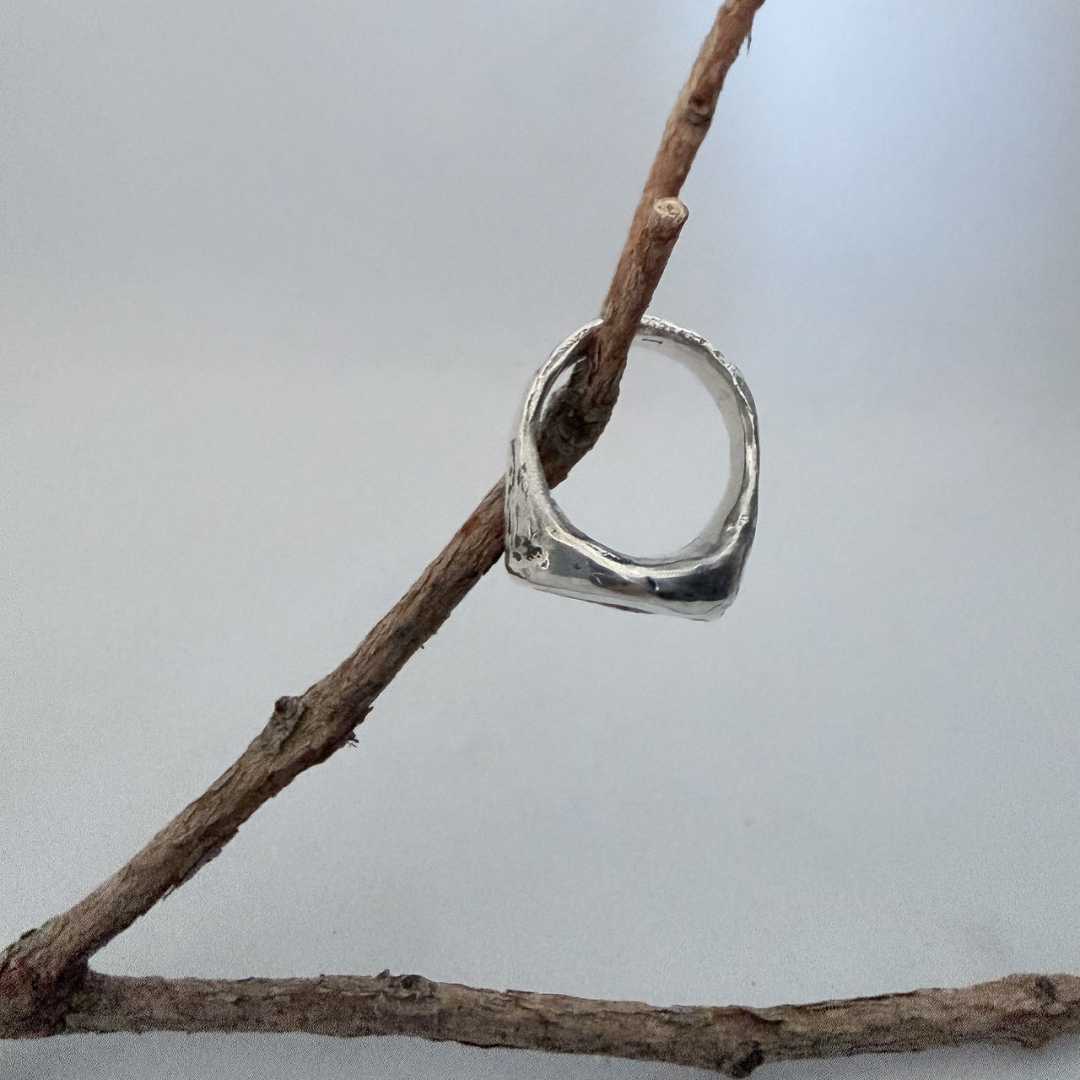Oval Bloodstone Signet Ring hanging from a small branch showing the side profile — chunky bezel, organic cast surface, and band width — HerbertandWilks Jewellery