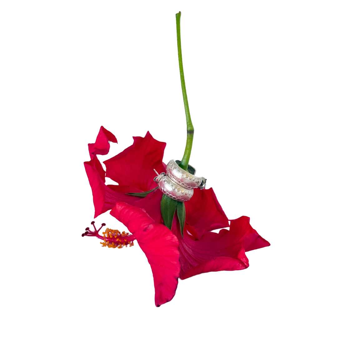 The Wide Fluid Hoop Earrings in Sterling Silver Sitting on the stem of a red hibiscus flower