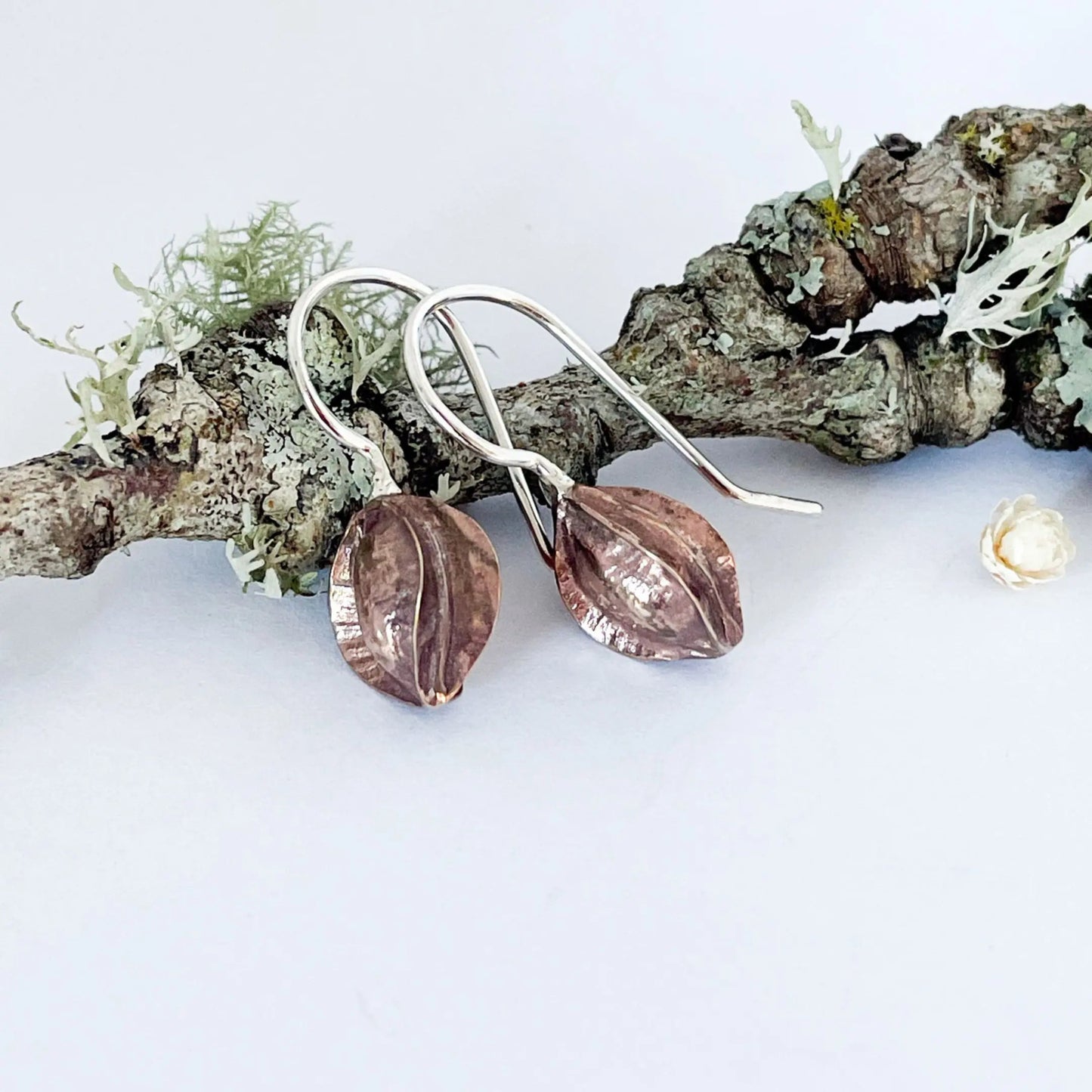 Bronze kowhai pod drop earrings leaning against lichen-covered branch showing natural New Zealand botanical context